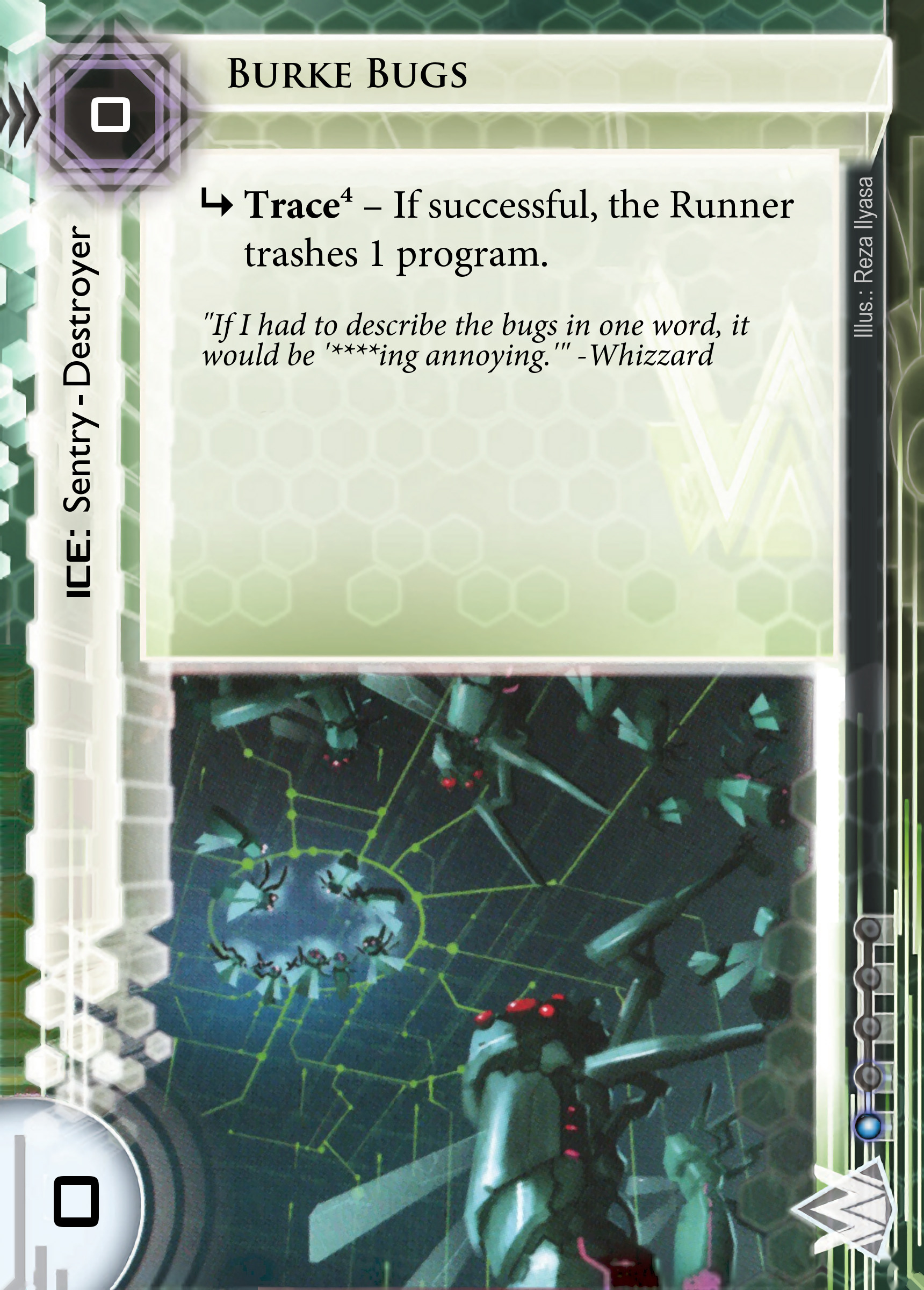 Burke Bugs