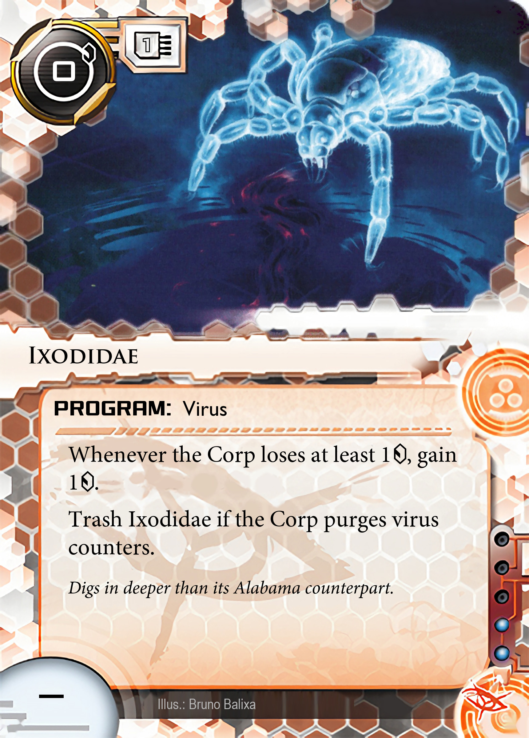 Ixodidae